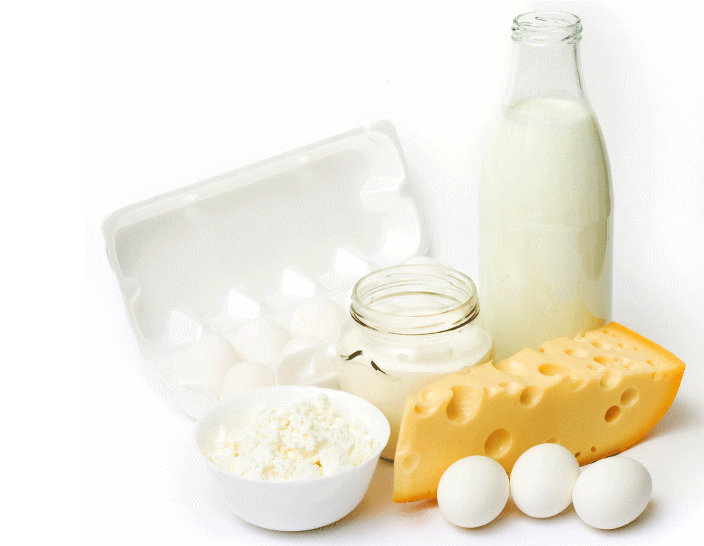 Молоко, сыр, яйца, творог